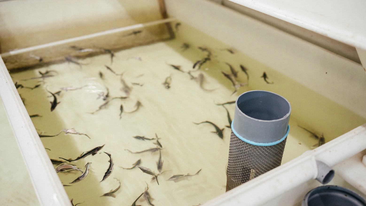 Компания СК «Автодор» и ее подрядные организации выполнили благородную миссию - слайд 2