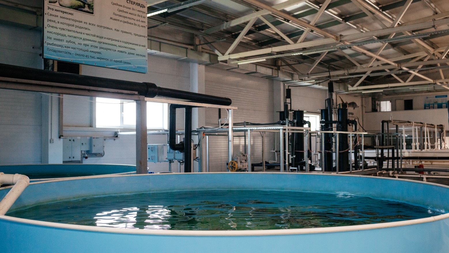 Компания СК «Автодор» и ее подрядные организации выполнили благородную миссию - слайд 1